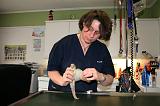 VETERINAIRE NAC 041